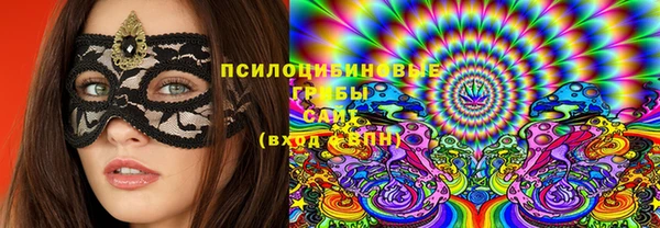 тгк Елизово