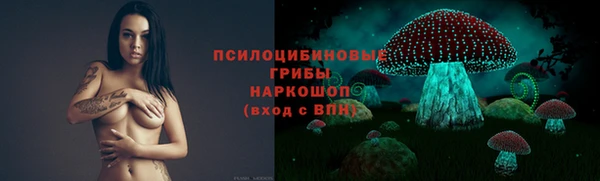 гидропоника Алексеевка
