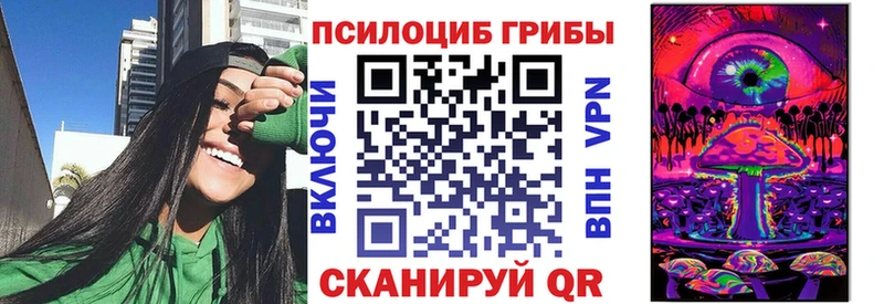 Псилоцибиновые грибы Cubensis  Барнаул 